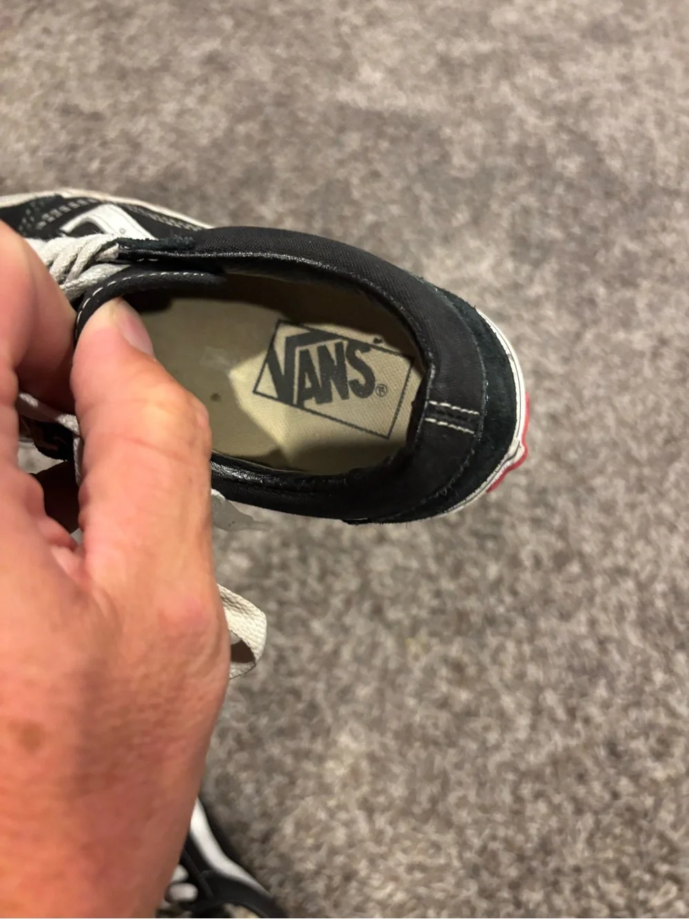 Vans Black and White Low-Top Skate Sneakers